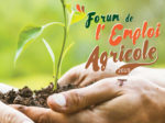 Forum de l'emploi agricole en terre de Camargue, 26 février 2019 à Aigues-Mortes